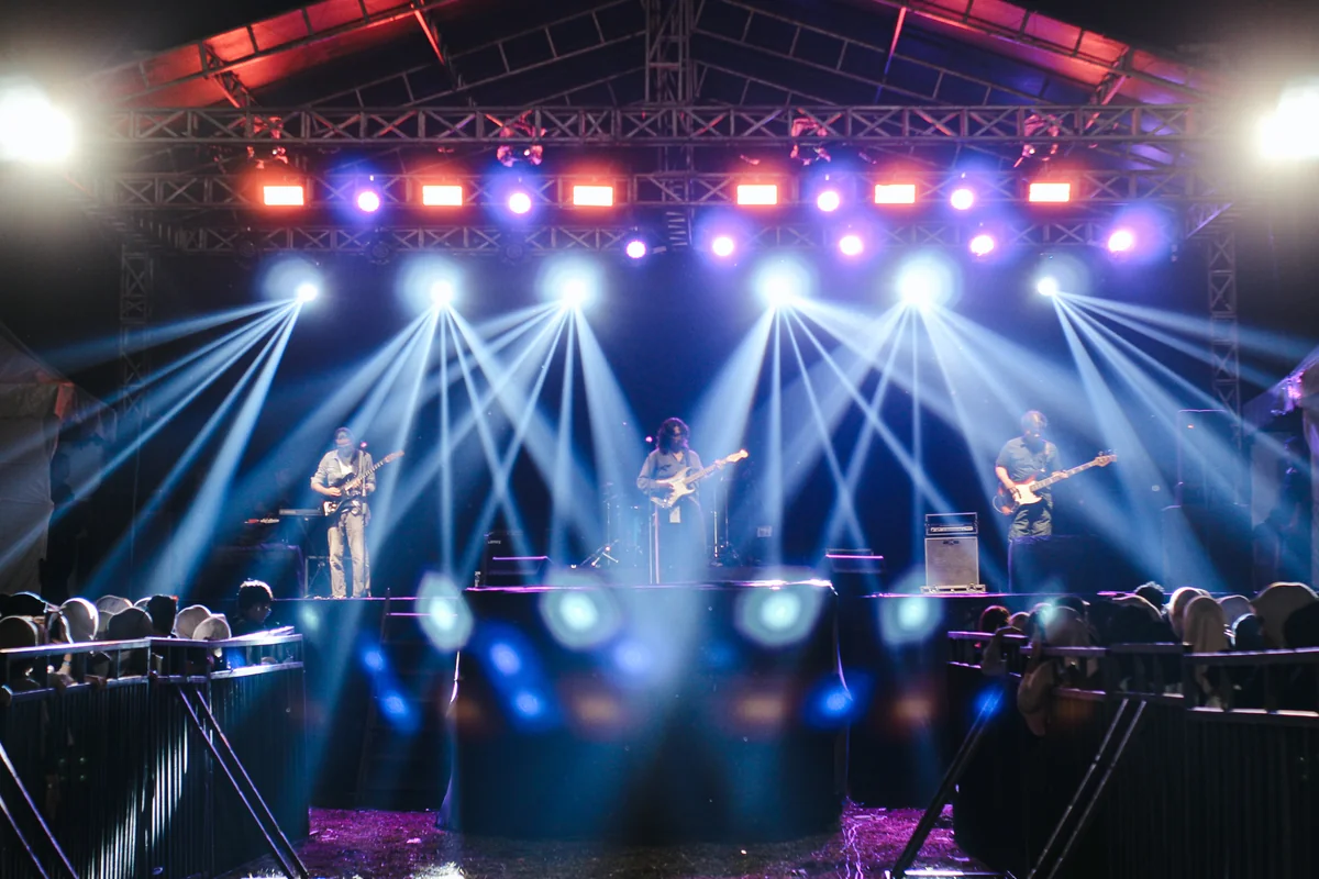 Local Concert Crowd